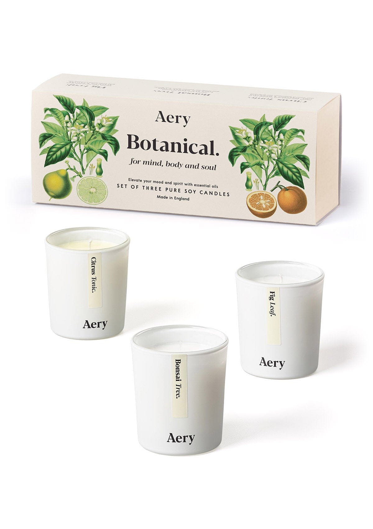 Cream Botanical candle set of three by Aery displayed by product packaging on white background