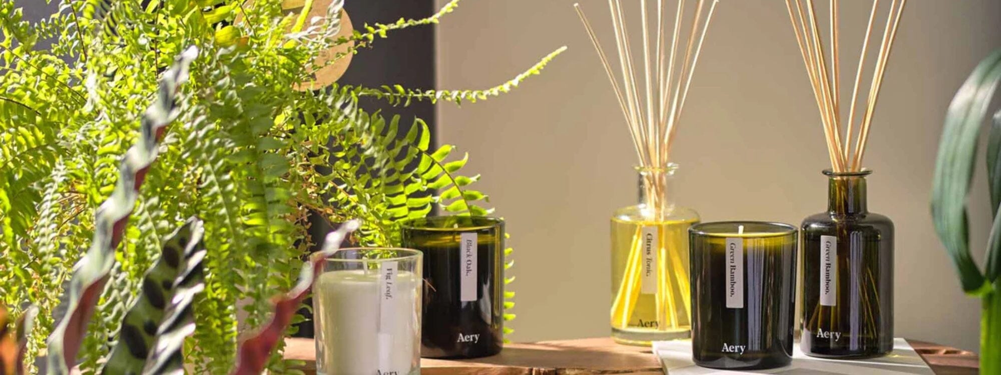 Best Reed Diffusers for Spring