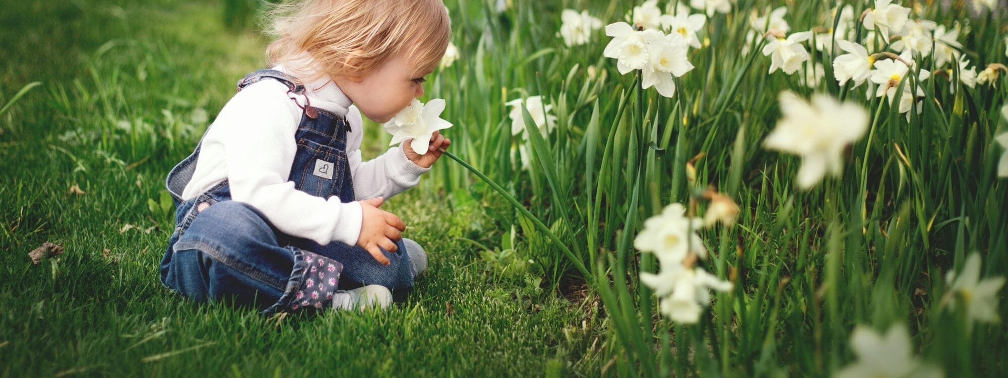 How to create a garden for wellbeing