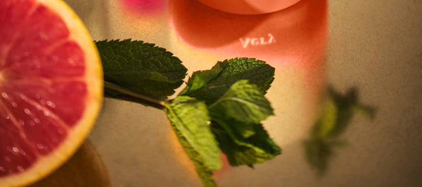 close up image of mint leaves and slices of grapefruit on top of a brass counter top