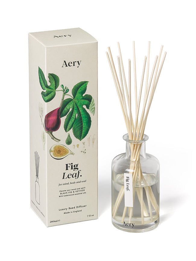 Cream Fig Leaf reed diffuser by aery displayed next product packaging on white background 