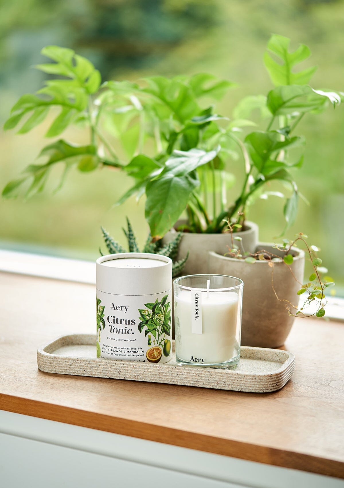 Cream Citrus Tonic candle displayed next to product packaging and green plants placed on wooden windowsill 