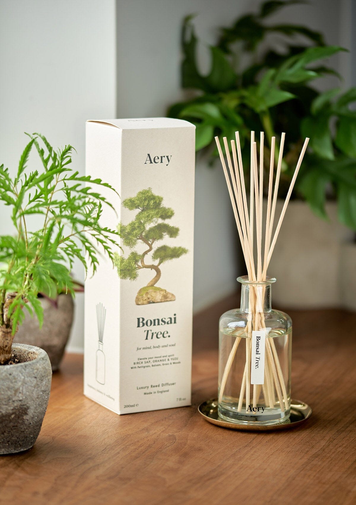 Cream Bonsai Tree diffuser displayed with product packaging on wooden bench with potted plants 