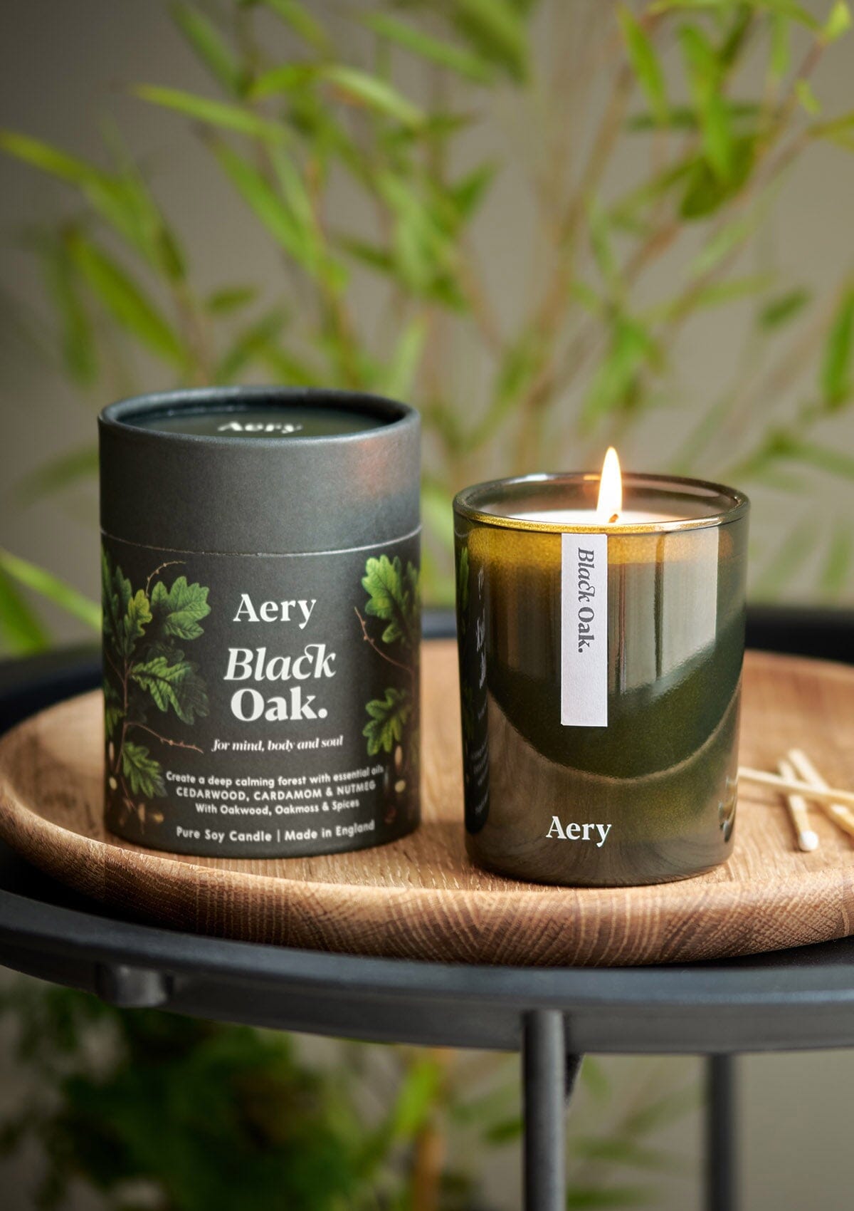 Green Black Oak candle displayed next to product packaging placed on wooden tray with green plant behind 