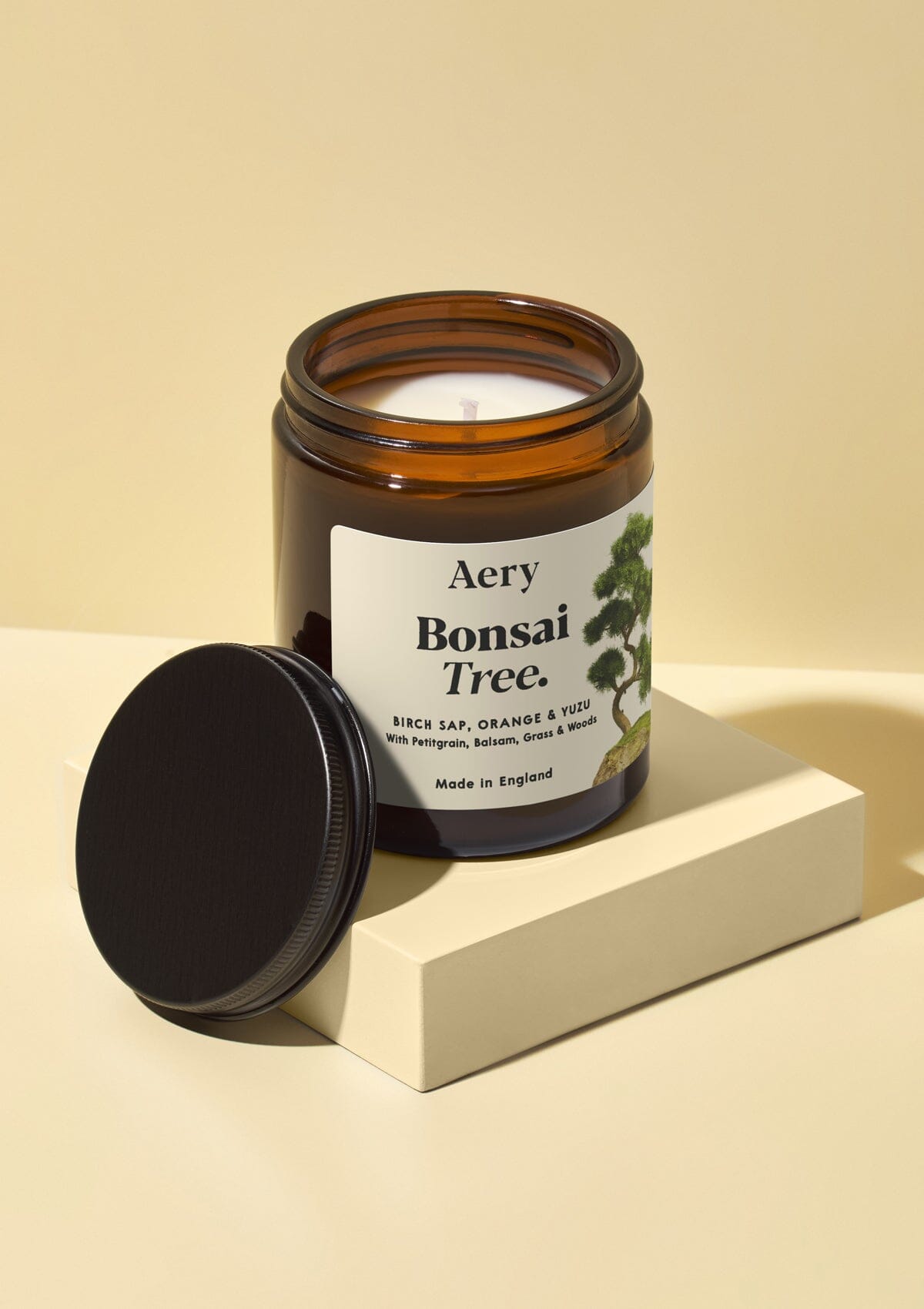 Bonsai Scented Jar Candle - Birch Sap Orange and Yuzu