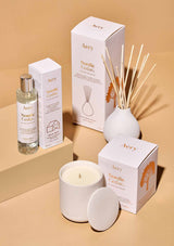 aery living nordic cedar bundle with matte ceramic pots. A scented candle, reed diffuser and room spray displayed next to their product packaging